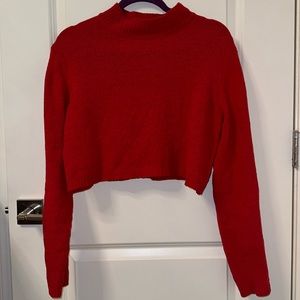 Red Wild Fable light knit cropped sweater
